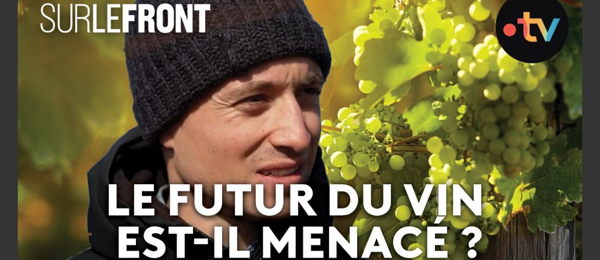 Alerte rouge : le vin à l’épreuve du climat - Sur le front