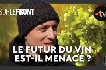 Alerte rouge : le vin à l’épreuve du climat - Sur le front
