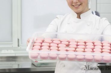 🇫🇷 The Gourmet's Choice"I prefer them to Ladurée and Pierre Hermé."