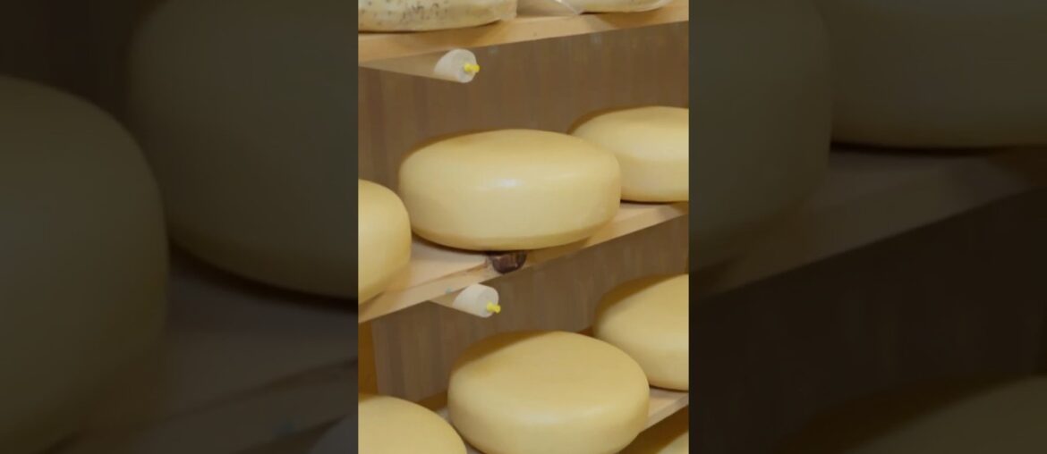 Finding The Perfect Cheese With Cynthia Peters. 🧀🇫🇷 Finding The Perfect Cheese With Cynthia Peters. 🧀🇫🇷