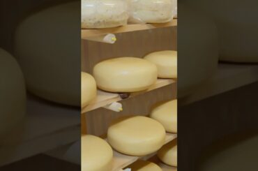 Finding The Perfect Cheese With Cynthia Peters. 🧀🇫🇷