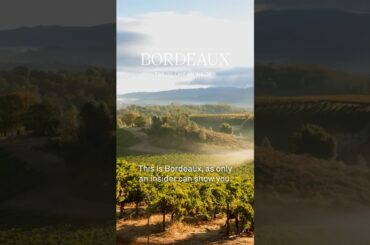 Journey Through Bordeaux with Cork+Compass Travel by Wine Enthusiast  #wine #bordeaux #winetravel