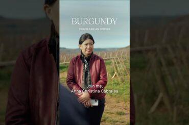 Journey Through Burgundy with Cork+Compass Travel by Wine Enthusiast #wine #winetravel #Burgundy