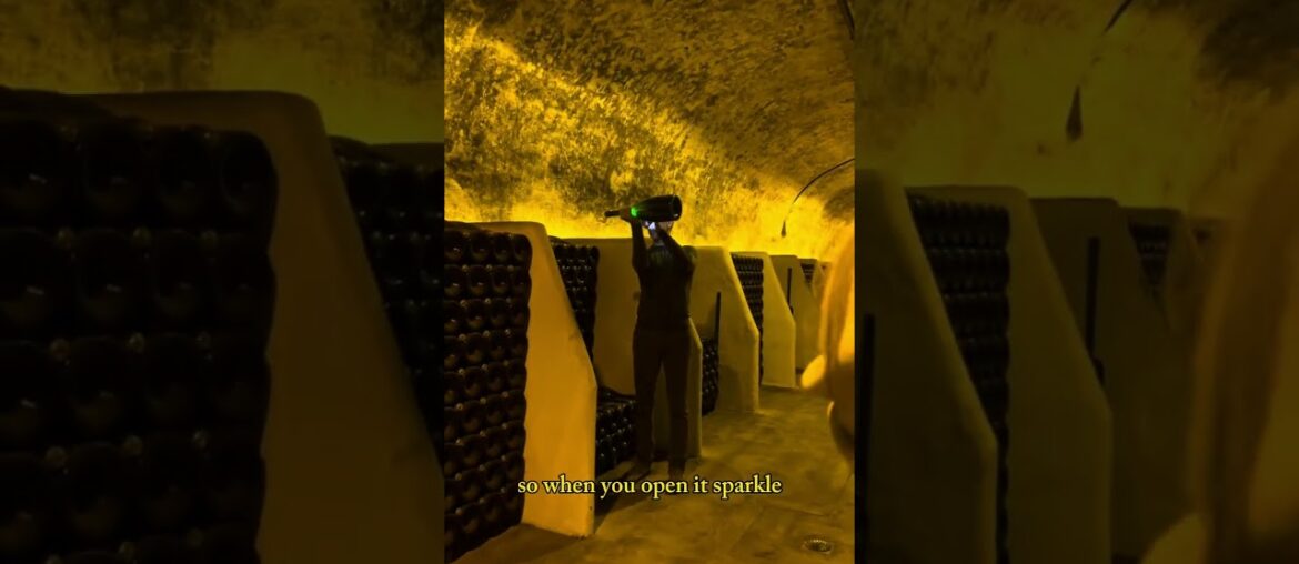 Krug champagne House #reims #champagne #france #krug #champagnekrug #champagnetasting