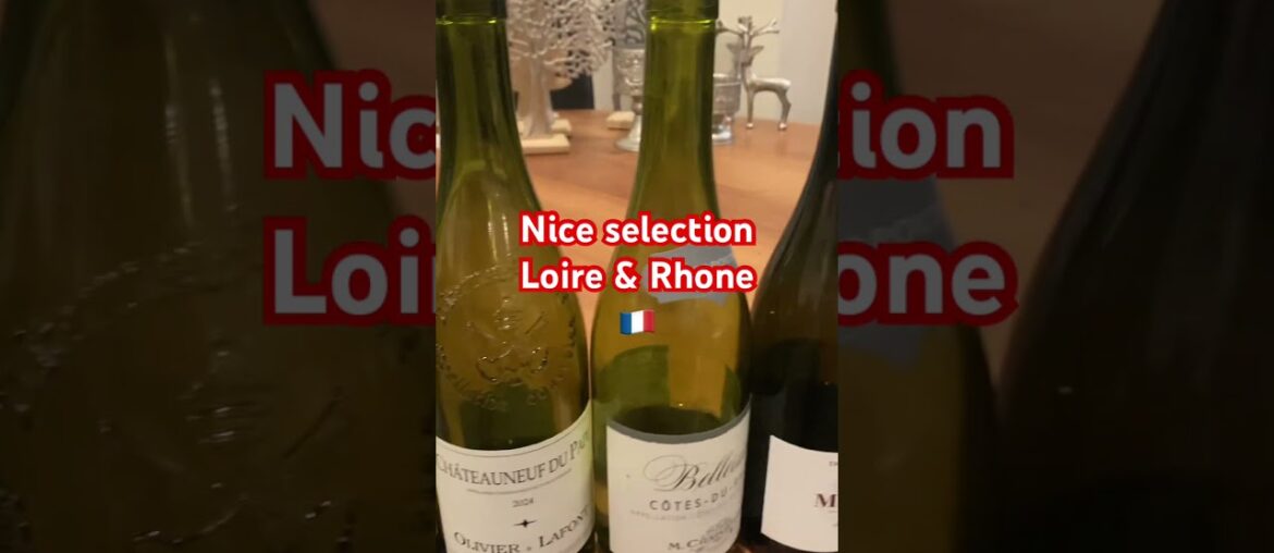 Loire vs Rhône: The Ultimate French Wine Tasting in Linz | #VinoVistara #Wine