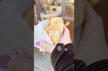 日光グルメで食べ歩き7選！正直レビュー