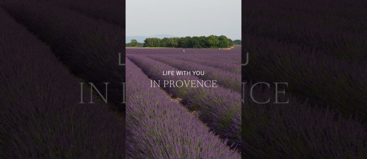 Provence just isn’t the same without experiencing…👒🌻⤵️ #provencefrance #slowtravel #hiddenprovence