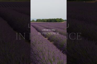 Provence just isn’t the same without experiencing…👒🌻⤵️ #provencefrance #slowtravel #hiddenprovence
