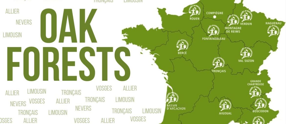 130. Special Episode: France’s Prestigious Oak Forests