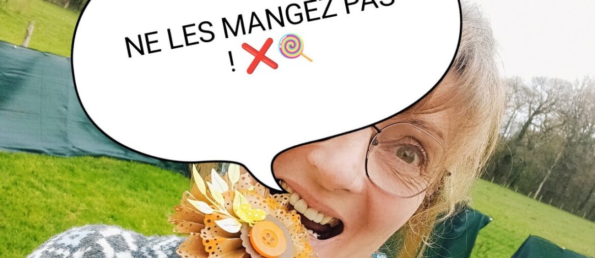 🍭SCRAP GOURMAND :Mes sucettes de printemps! (zéro déchet) 🌸