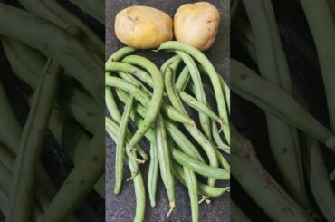 French Beans fry #youtubeshorts #shorts #shortsfeed #shortsvideo #subscribemychannel #trending #food