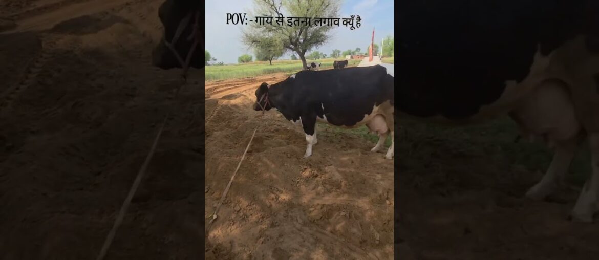 ek istori gou mata ke liye 🙏...#gourmet #goma #goseva #reels