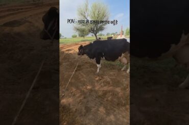 ek istori gou mata ke liye 🙏...#gourmet #goma #goseva #reels