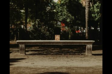 BON Better Snacks: Redefining Healthy Indulgence