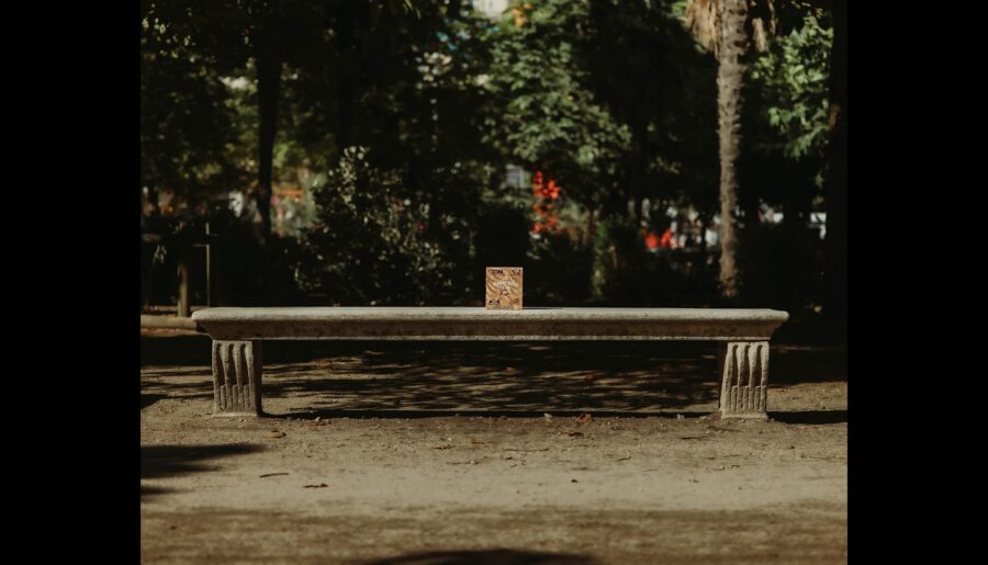 BON Better Snacks: Redefining Healthy Indulgence