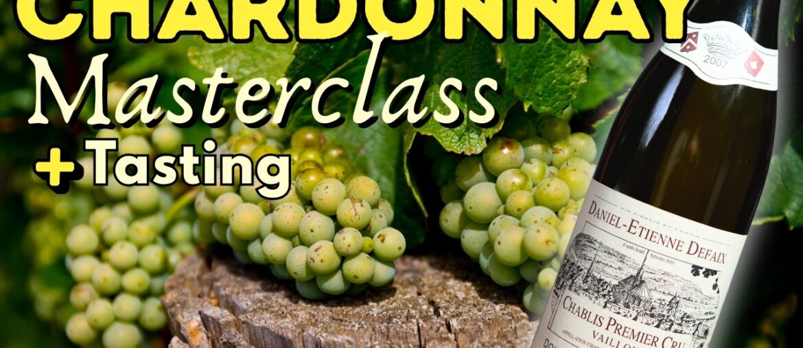 CHARDONNAY Masterclass: Everything You Need to Know (+ Chablis Tasting) CHARDONNAY Masterclass: Everything You Need to Know (+ Chablis Tasting)