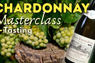 CHARDONNAY Masterclass: Everything You Need to Know (+ Chablis Tasting)