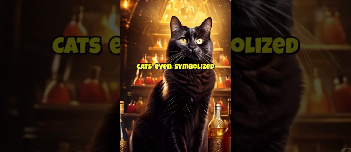 Tipsy Tails: Stories of Cats and Winemakers Through the Ages #winemaking #cats #history