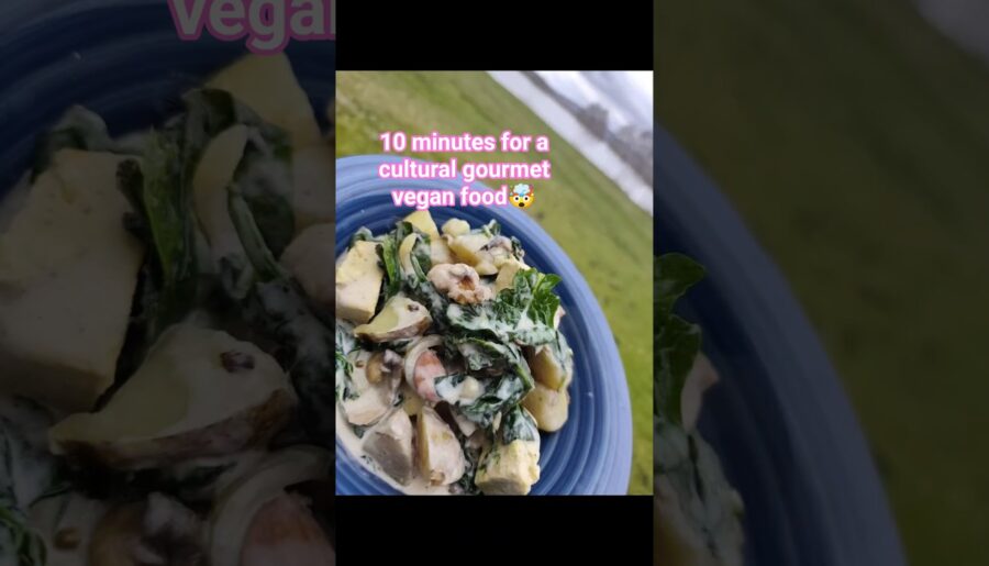 vegan gourmet a Sistema for life Muzo Plus preparing ahead