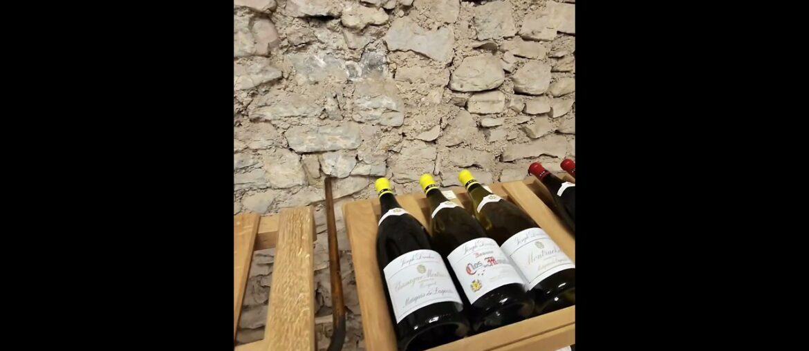 Joseph Drouhin Wines in Beaune, France!