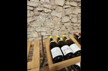 Joseph Drouhin Wines in Beaune, France!