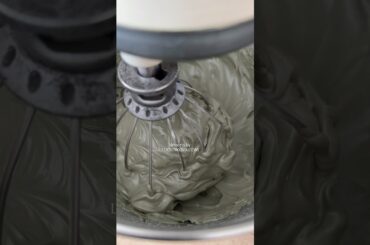 French merengue macarons 🌿