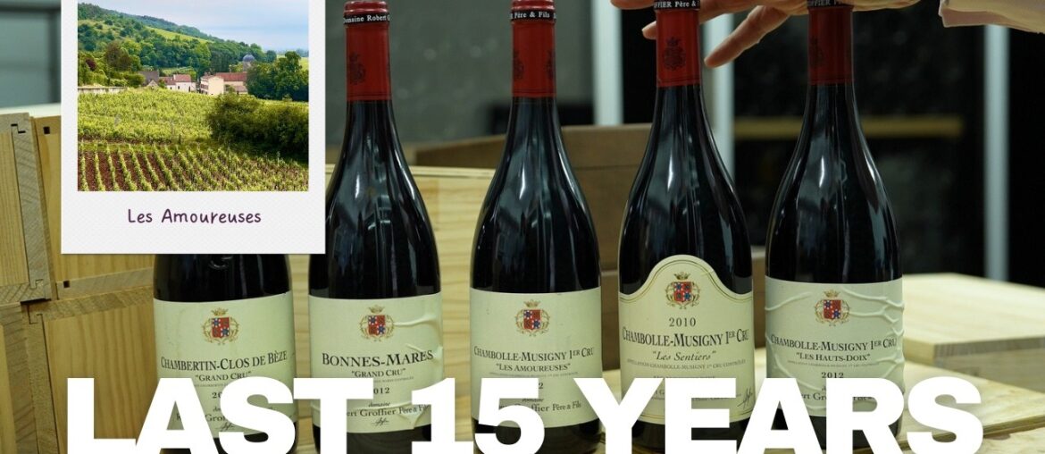 Why I Cellar Domaine Groffier Every Vintage Why I Cellar Domaine Groffier Every Vintage