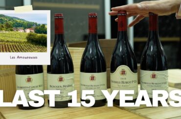 Why I Cellar Domaine Groffier Every Vintage