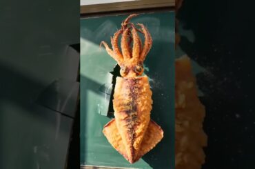 Gourmet food creator, delicious food. This humorous content is for entertainment purposes only #62