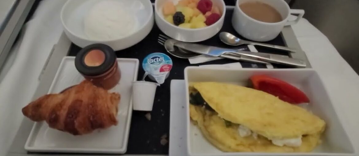 Air France Business Class Travel | Seats, Food & Full Review #navikaworldtour