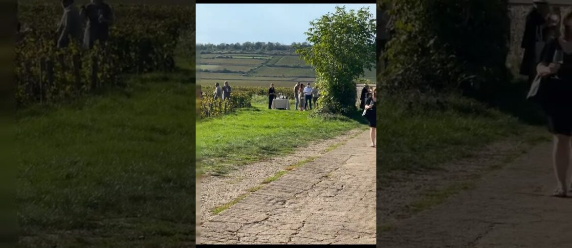 An evening in Puligny-Montrachet, France started￼ with a reception held right in the vineyard.