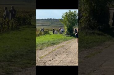 An evening in Puligny-Montrachet, France started￼ with a reception held right in the vineyard.