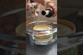 The French Cheese You’ve Never Heard Of — Baked Mont d’Or & potatoes 🧀