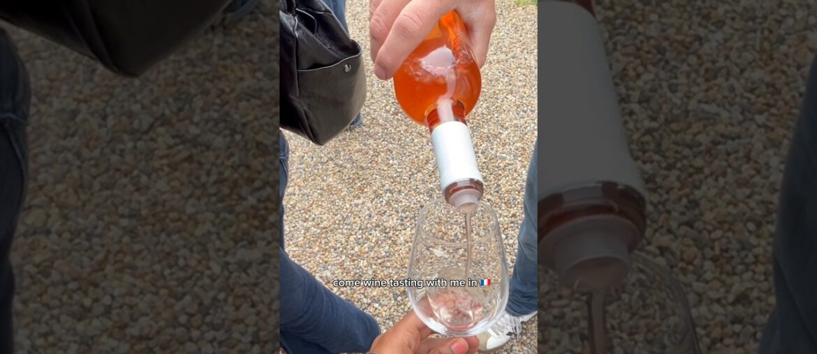 come wine tasting with me in France 🇫🇷🍷#vlog #wine #travel #shorts