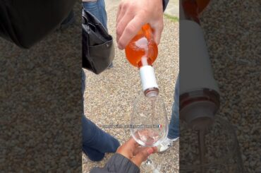 come wine tasting with me in France 🇫🇷🍷#vlog #wine #travel #shorts