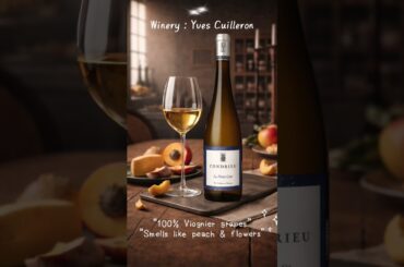 Famous Wine Villages | Rhône Valley: Condrieu