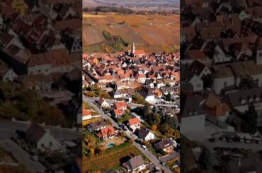 Riquewihr: France’s Most Colorful Village ✨