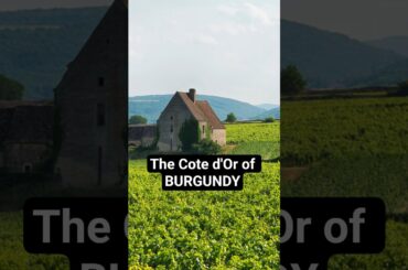 Cote d'Or of Burgundy. #wineeducation #frenchwine #sommelier