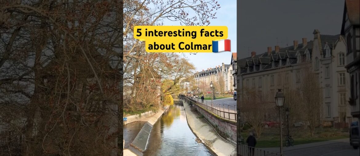 Colmar  |France 🇫🇷