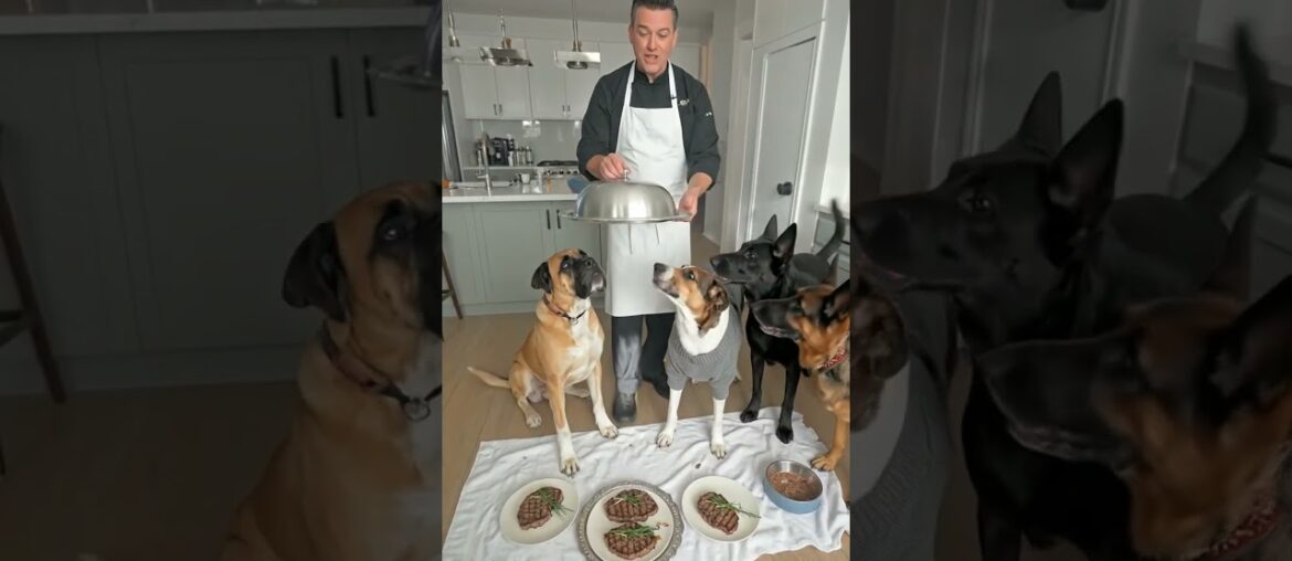 Giving gourmet steaks to my five dogs #puppy