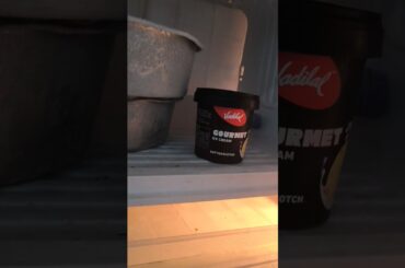 #icecream advertisement vadilal icecream gourmet butter scotch