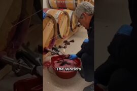 Why They Set Fire to the World's Most Expensive Wine Barrels 🔥 #facts #history #wine #shorts #amazin