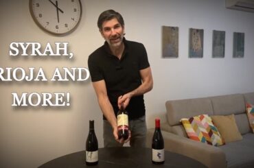 Easter Tips 2026 - French, Spanish and Portugese red wines!