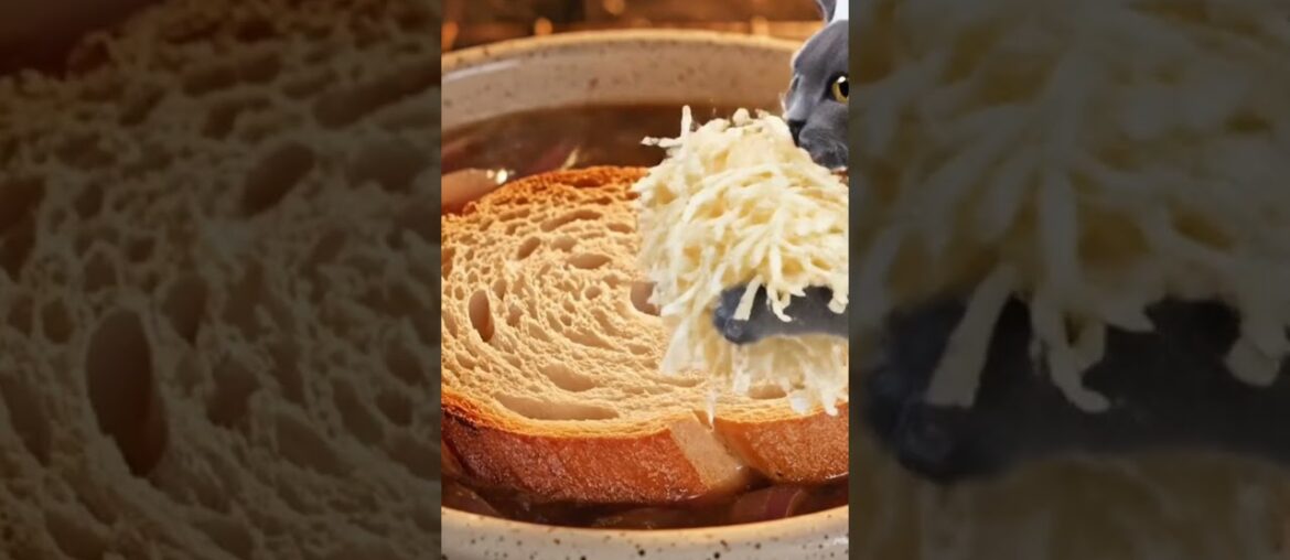 Ultimate Comfort Food ASMR 🍲 Chef Cat Er Special French Onion Soup🧅🧀 #moodrecipe #chatime #cat #asmr