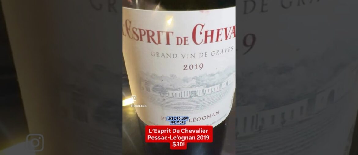 L’ Esprit De Chevalier Pessac~Le’ognan 2019 $30!#wine #review #france #winelover #wow #bargain