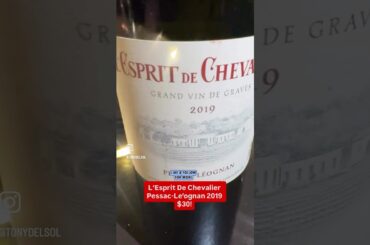 L’ Esprit De Chevalier Pessac~Le’ognan 2019 $30!#wine #review #france #winelover #wow #bargain