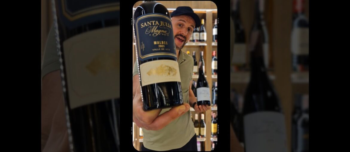 Where does Malbec come from? Malbec wine origin explained in 40 seconds