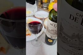 🥖 French Treat  🇫🇷  #french #wine #brie #cheese