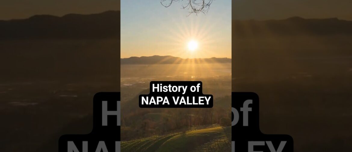 Napa Valley has rugged roots. #wineeducation #napavalley #california