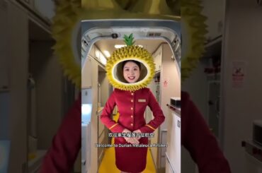 Gourmet food creator, delicious food. This humorous content is for entertainment purposes only #155